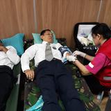 blooddrivesolo-2.jpeg
