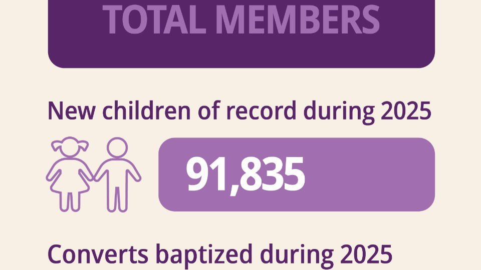 statistical-report-infographic-2_id.png