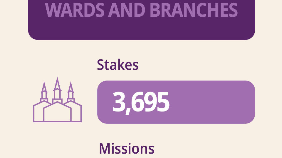 statistical-report-infographic-3_id.png